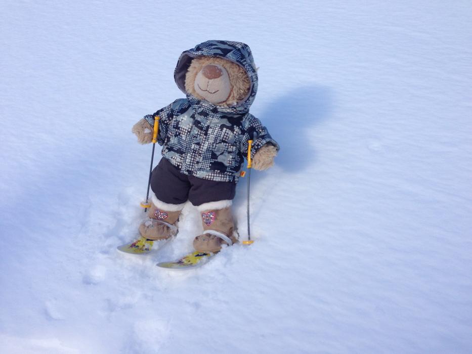 Teddy Ski Snow