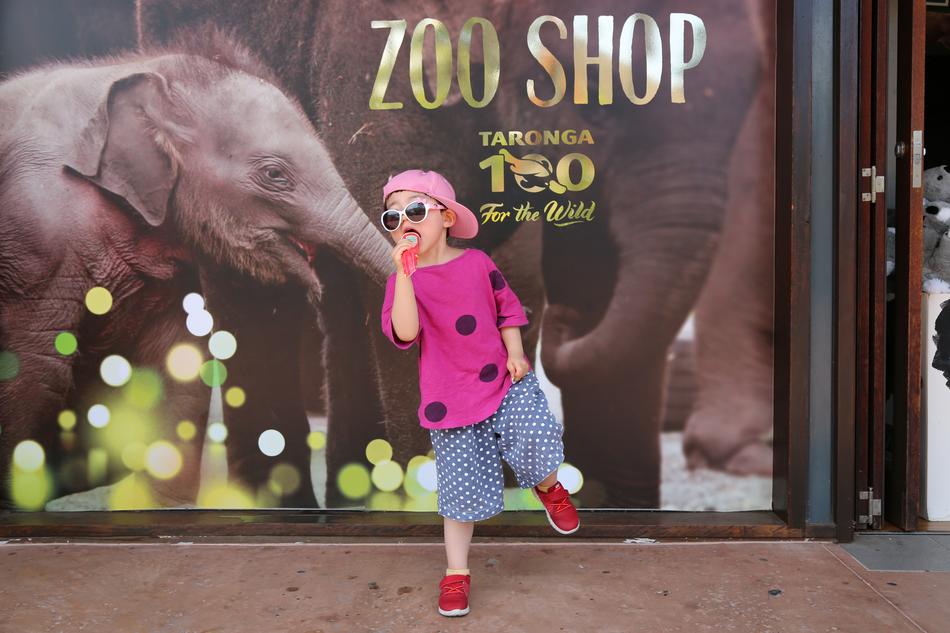 zoo shop and child