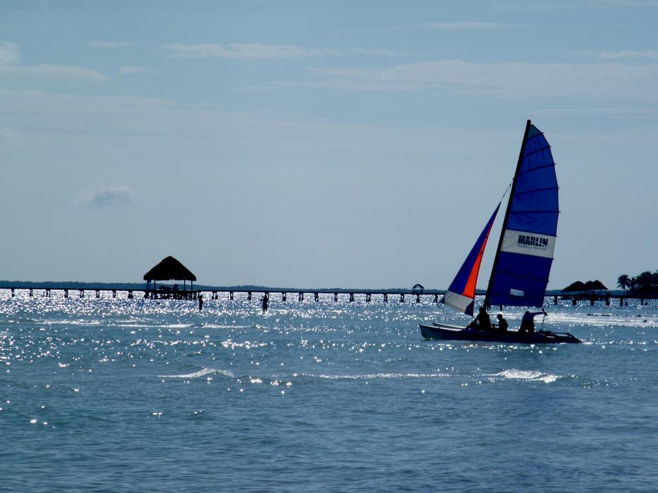 boat with a blue sailboat on the sea