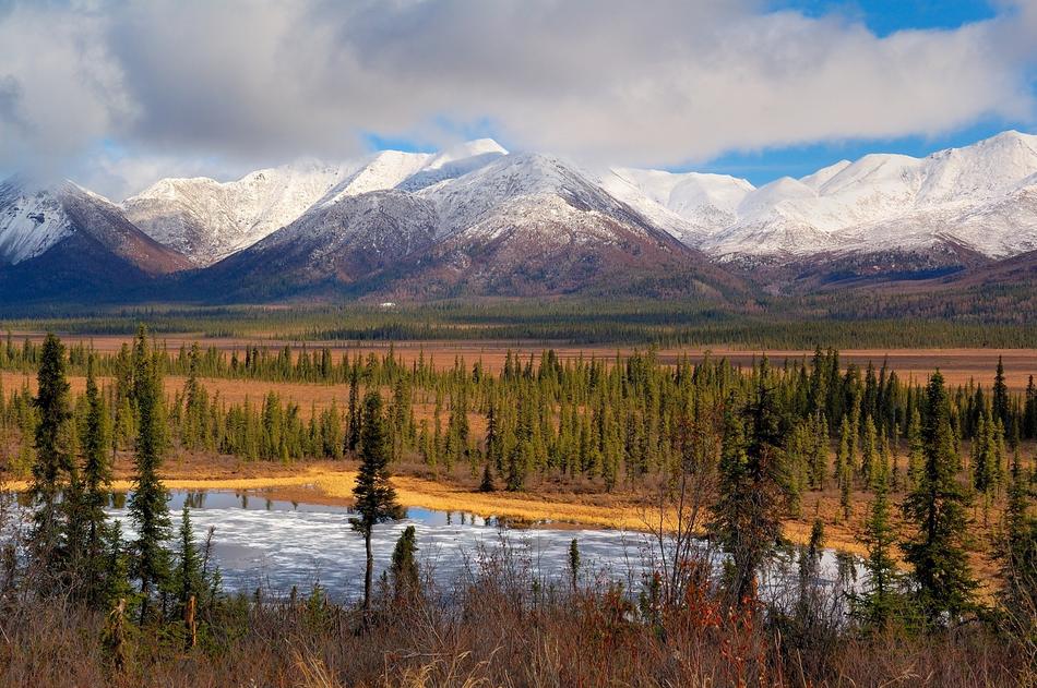 Landscape of Scenic Mentasta