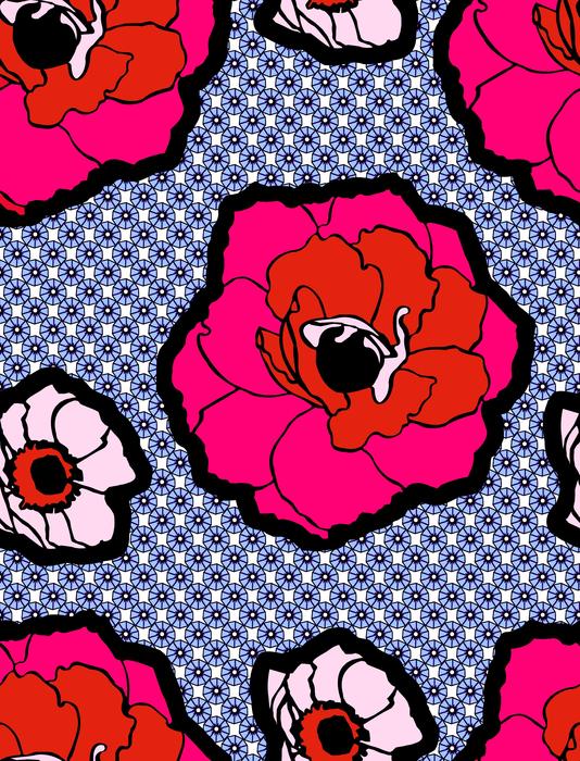 poppy flowers drawing on the wall