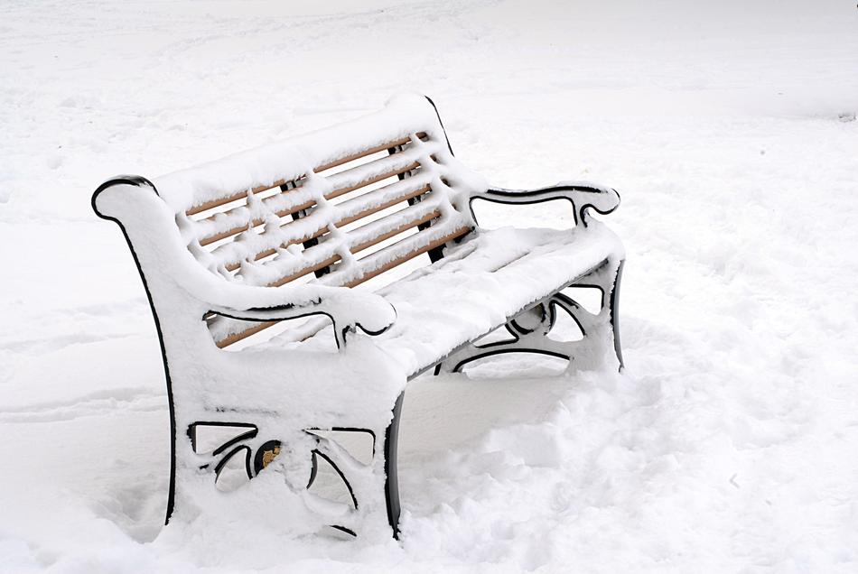 snow covered park bench