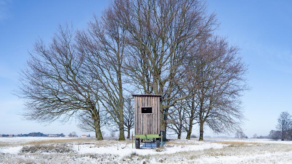 Hunting Device at Winter