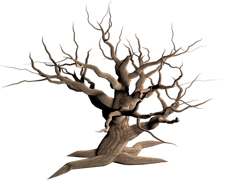 virtual model of an old tree without leaves