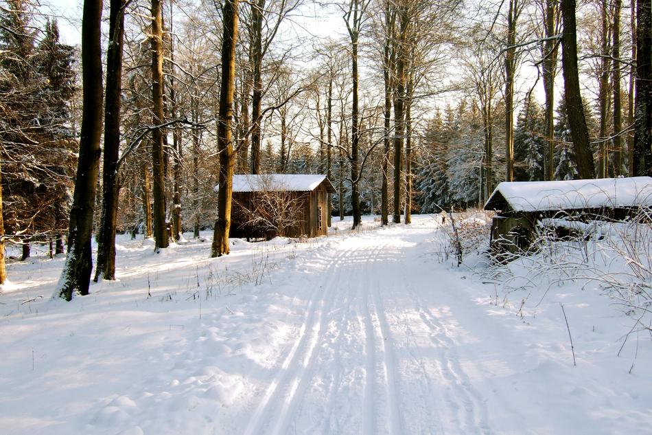 old village in the winter woods