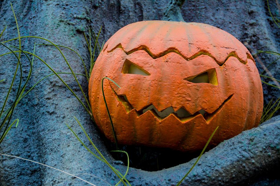 scary pumpkin scenery