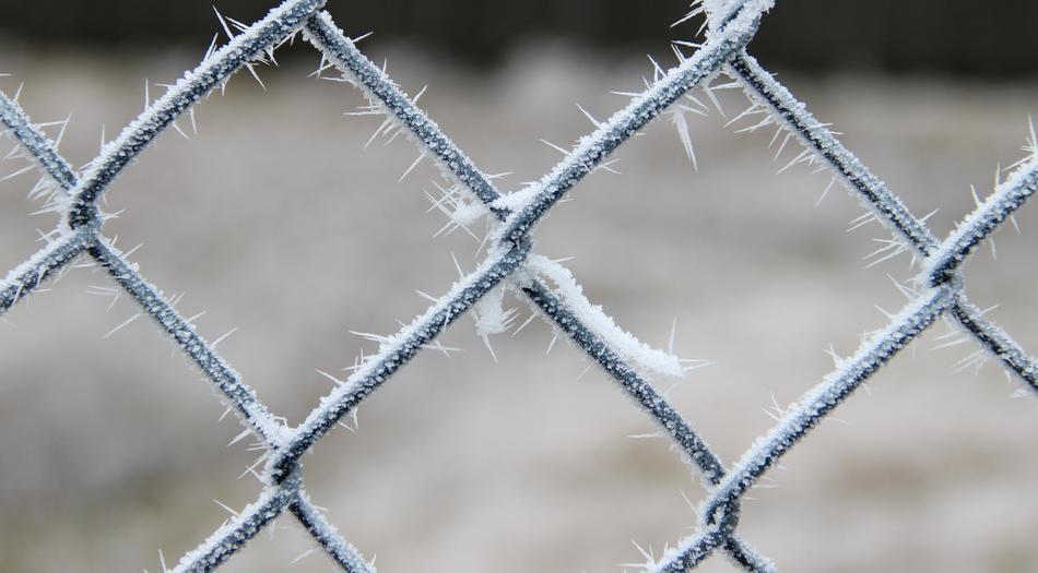 iron fence in frosting