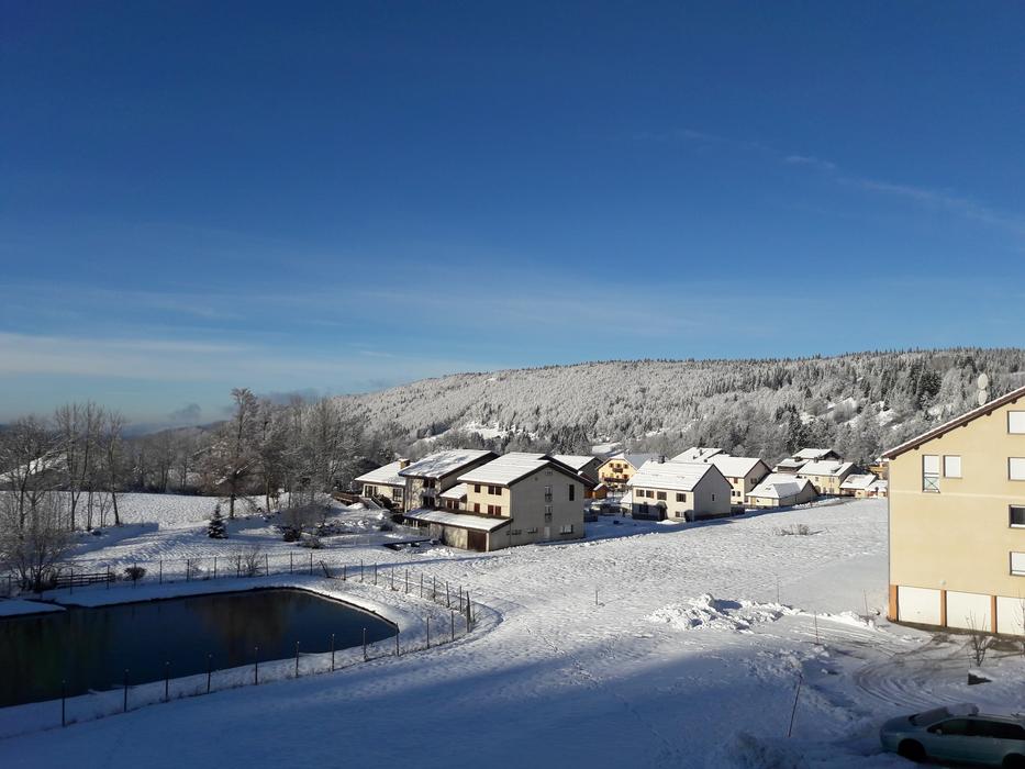 Landscape Winter Snow