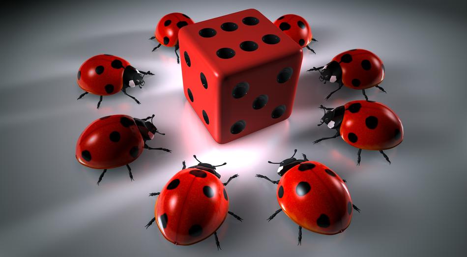 red gambling cube and beetles