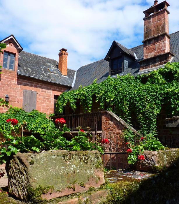 beautiful house with plants