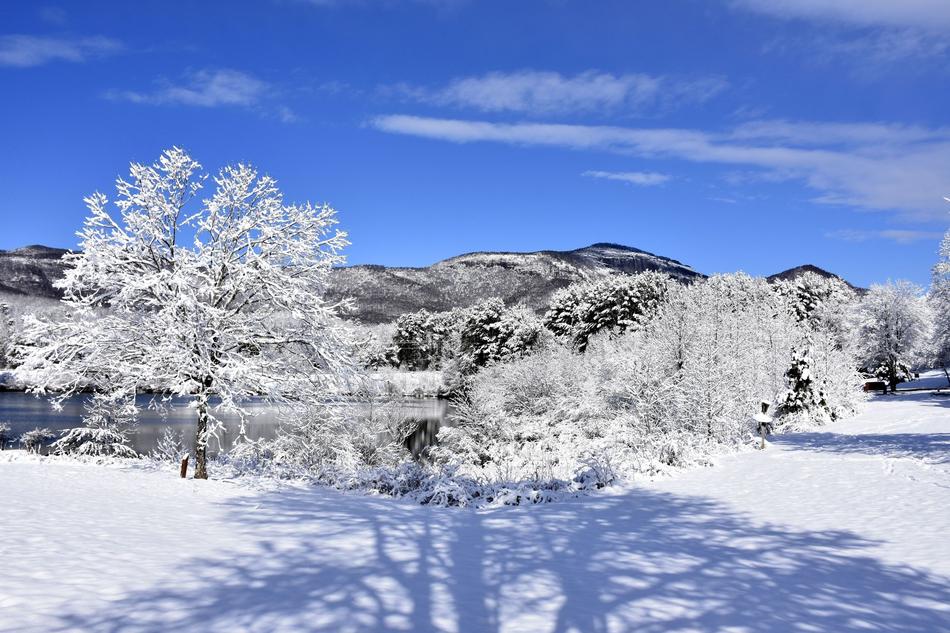 Snow Winter Landscape