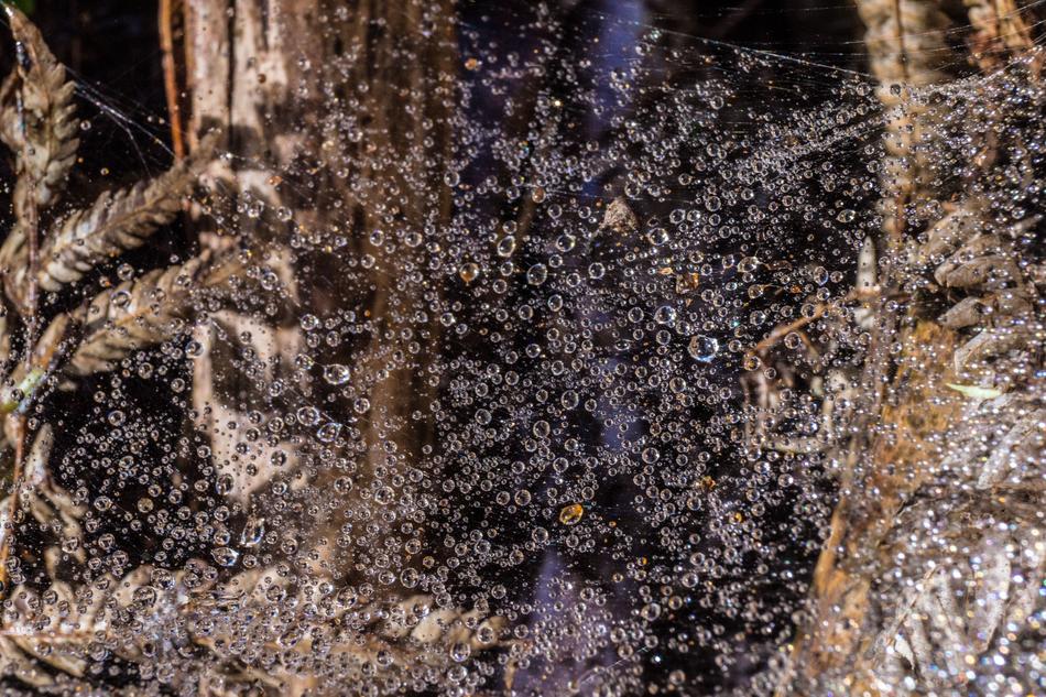 water bubbles on glass
