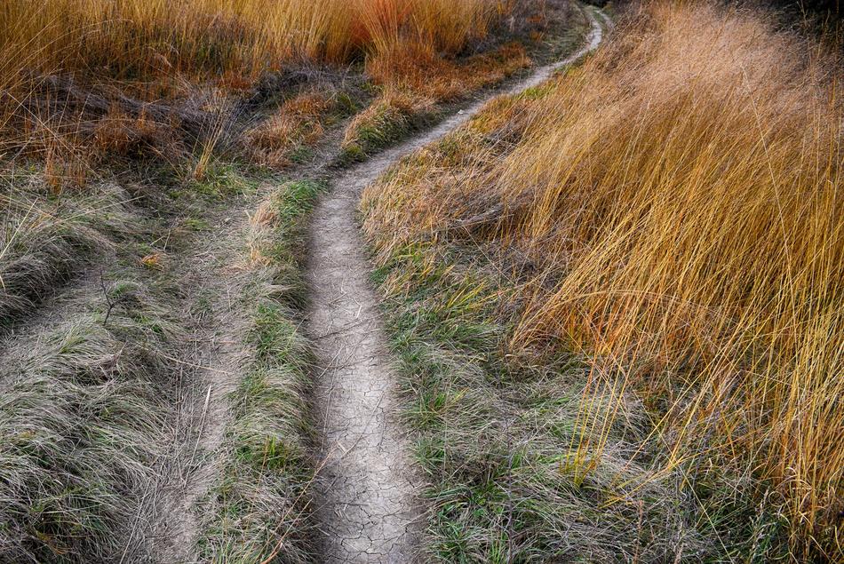 Road Nature Outdoor
