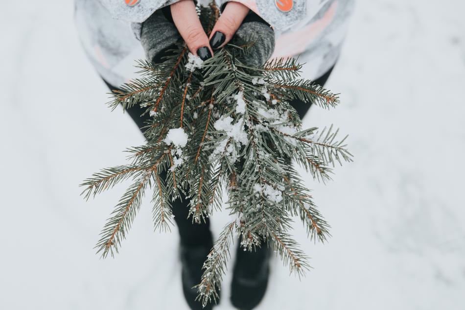 snowy branches ate in the hands of a girl