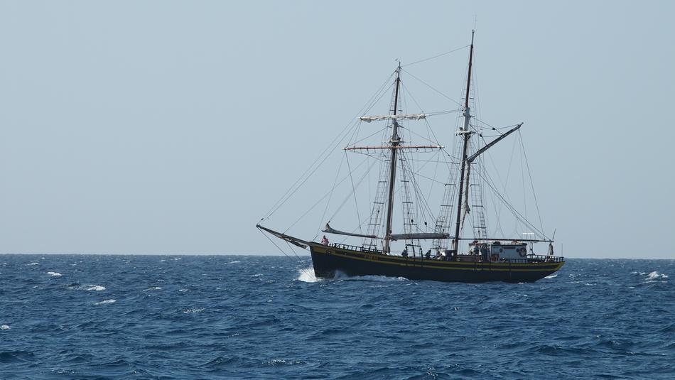 beautiful ship sailing on the sea