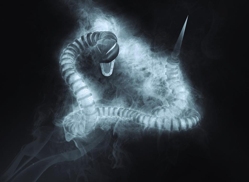 snake in the fog with a sharp end on its tail