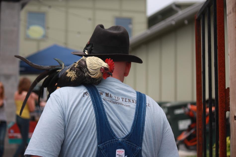 a chicken on a man's shoulder