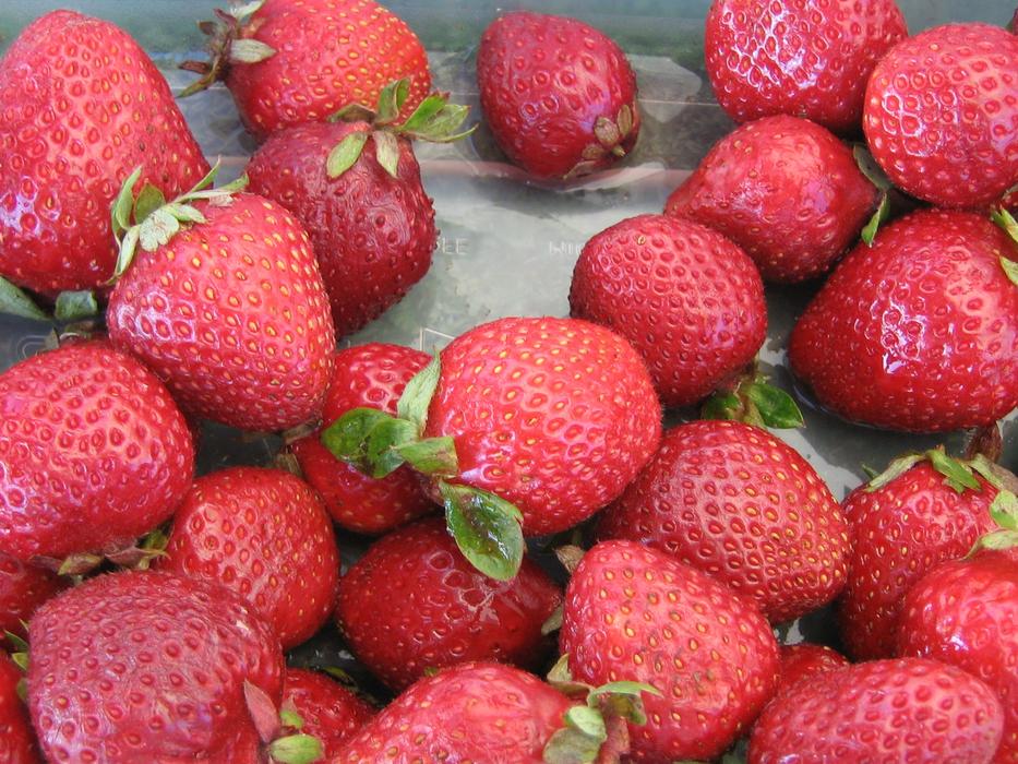 sweet strawberries in a bucket
