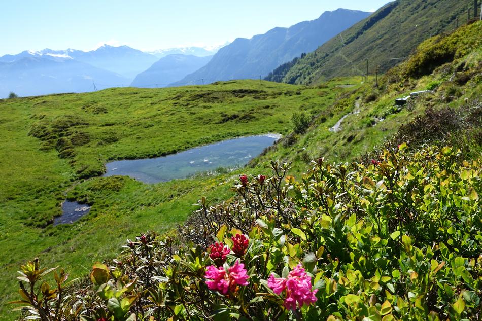 Bündnerland Graubünden Glass Fun