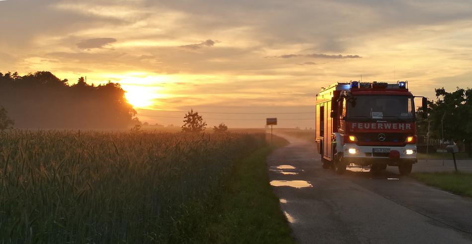 trucker on the road near the grass