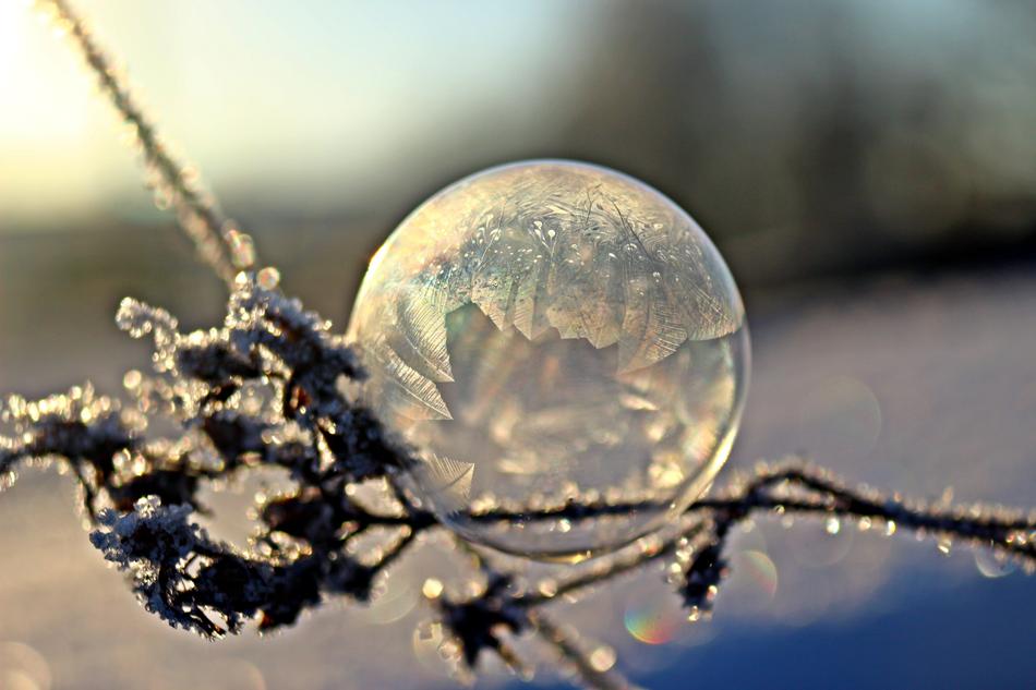 frozen bubble on branches