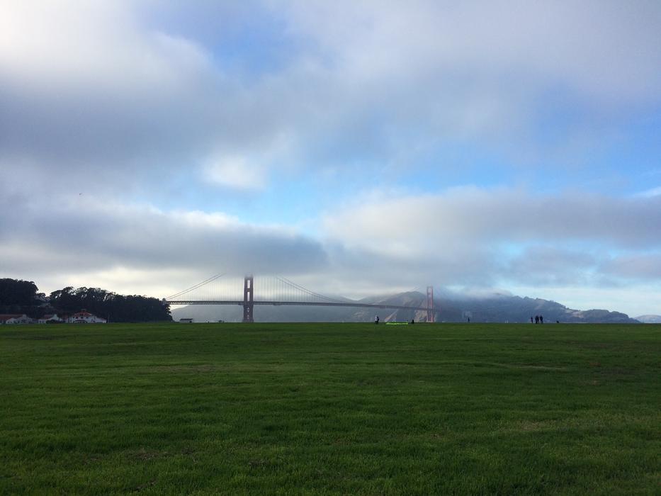 green grass in a field with clouds