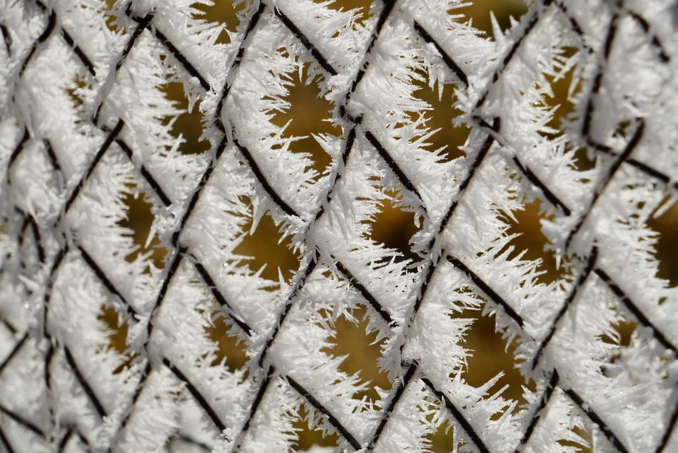 beautiful ice crusts