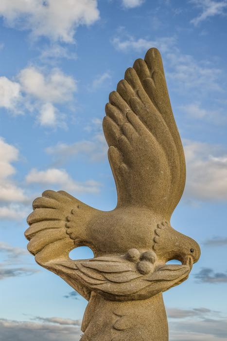 Peace Pigeon Olive Branch