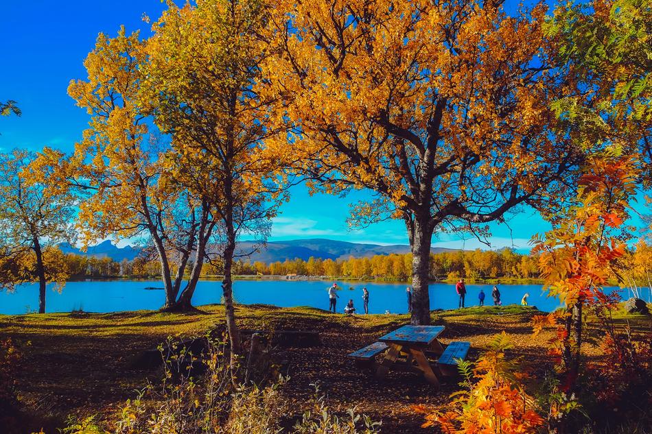 Norway Autumn Fall