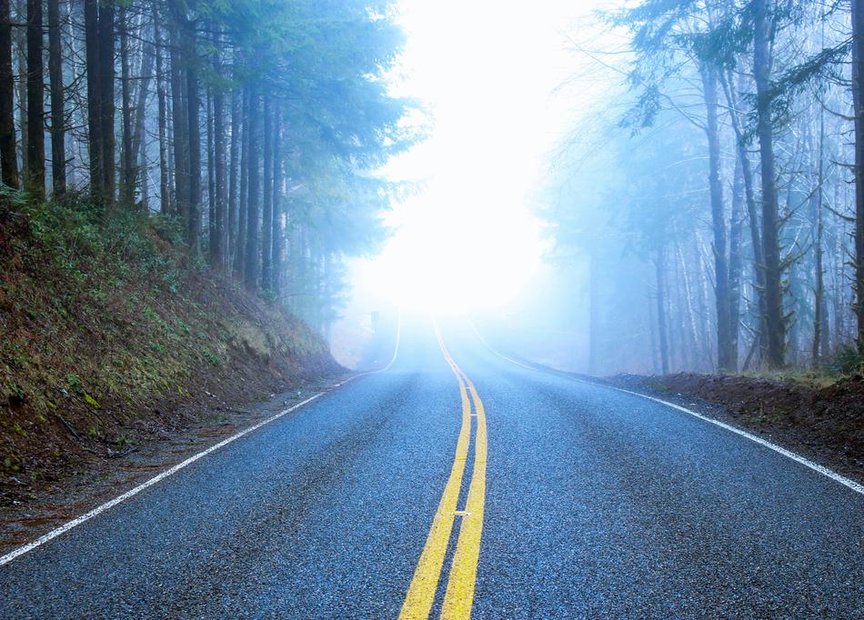 Road Foggy Forest