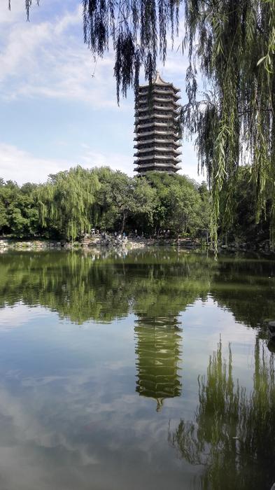 clear lake in city homes