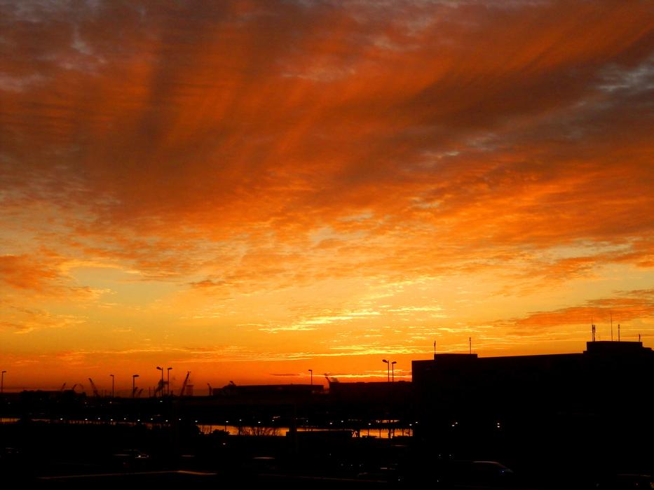 dawn morning silhouette orange