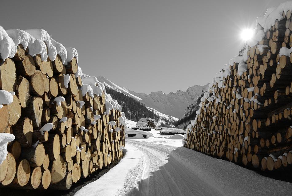 Snowy Woodpiles Samnaun