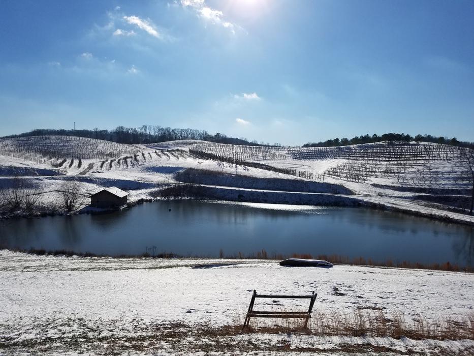 Snow Mountains Orchard