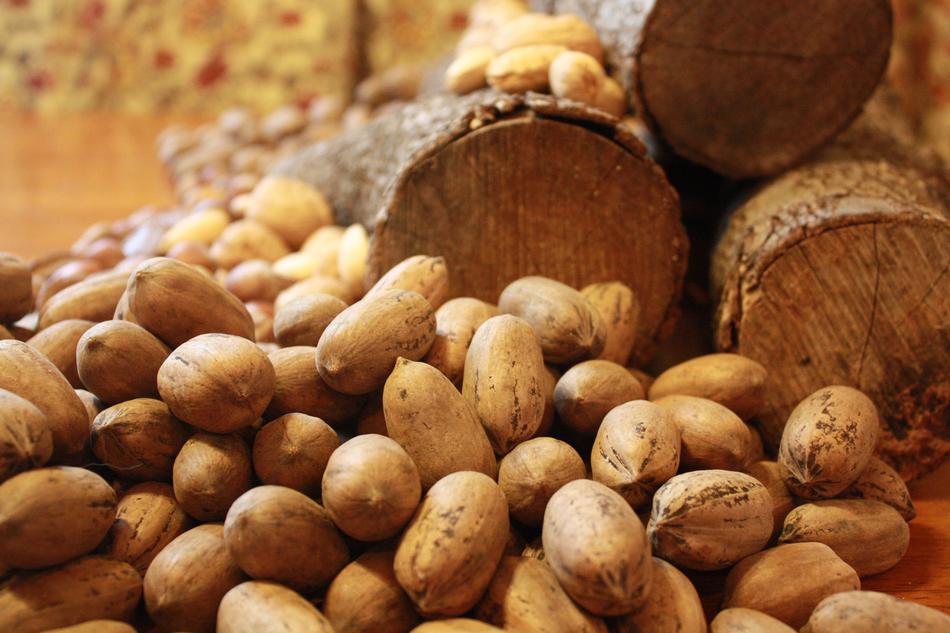 raw nut harvest