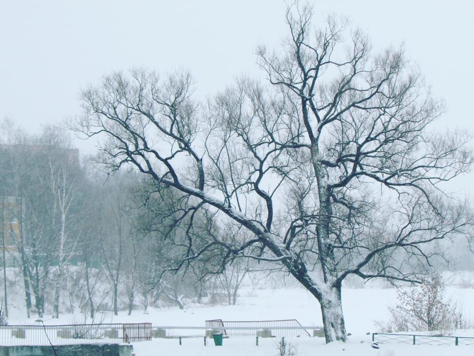 Winter Park