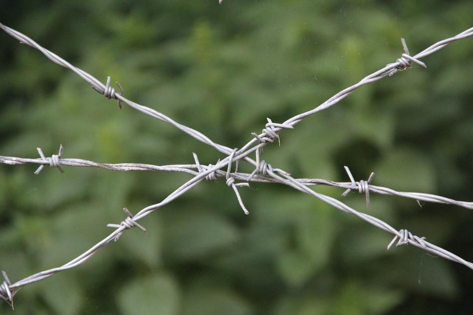 barbed wire green