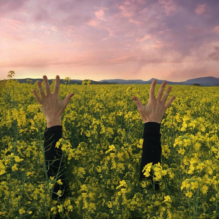the hands of a man in the green grass