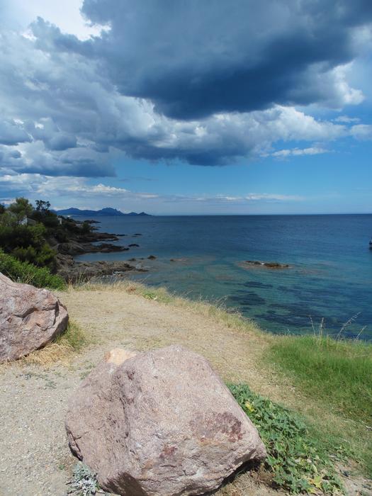 summer nature view