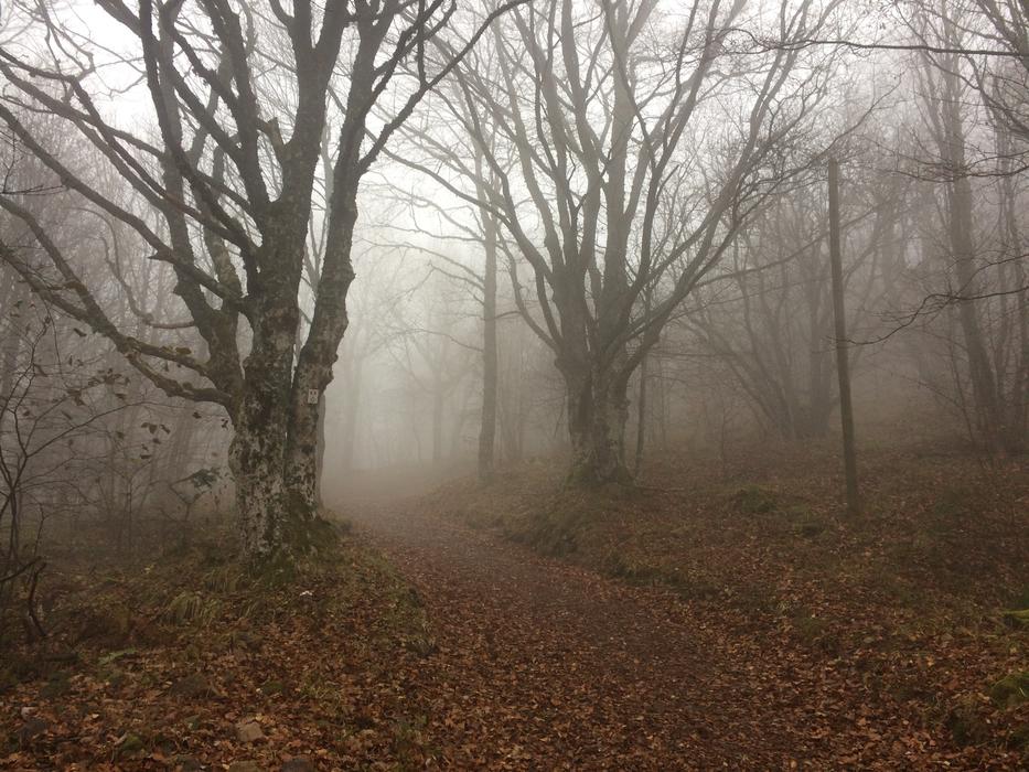 Hartmannswillerkopf Vosges Alsace
