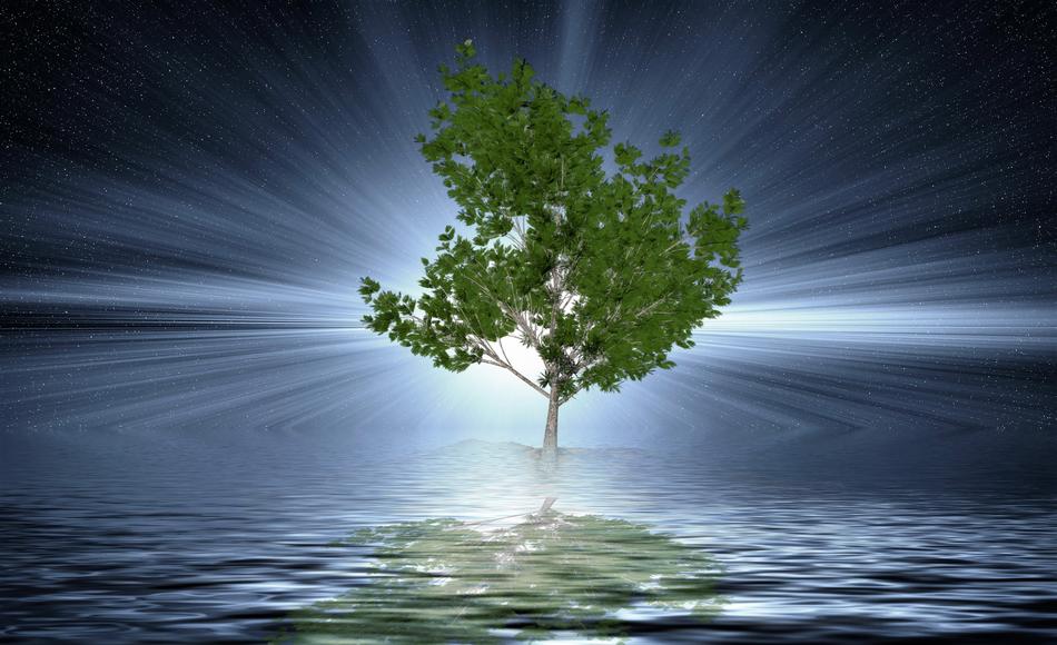 tree water background drawing
