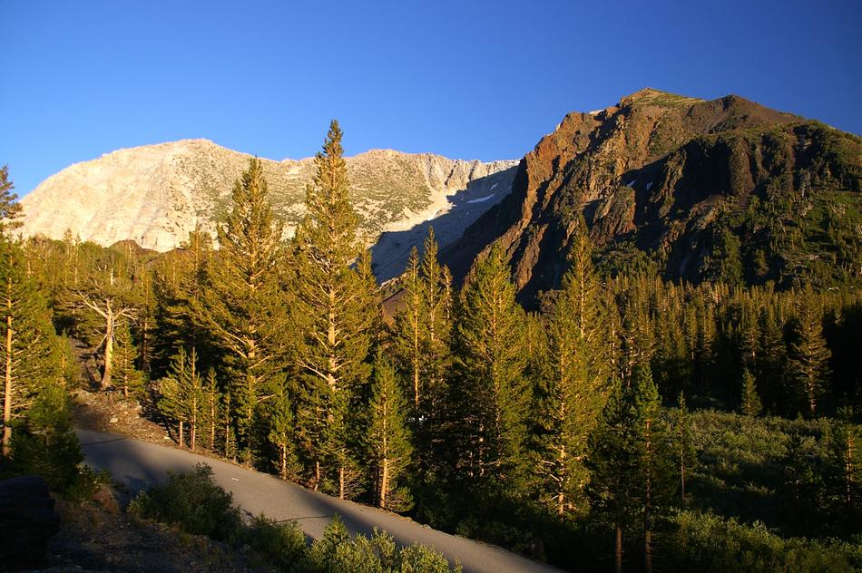 California Yosemite