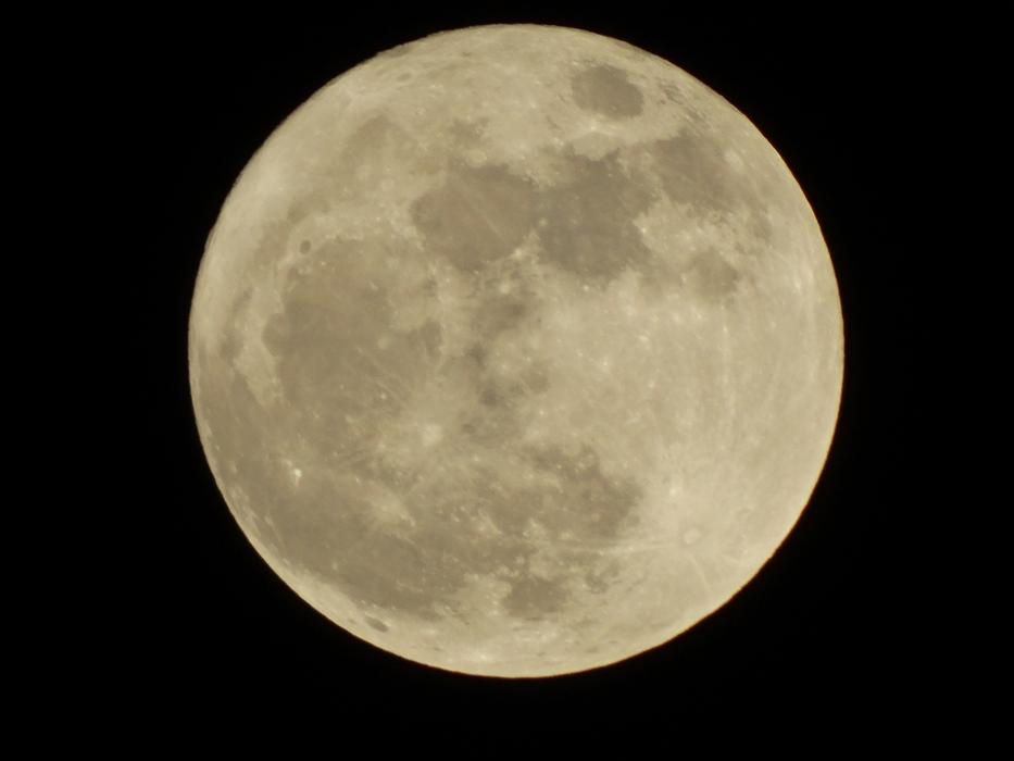 yellow moon in the night sky