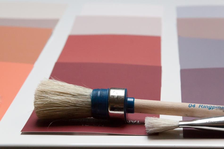 Color Patterns Trend Colors