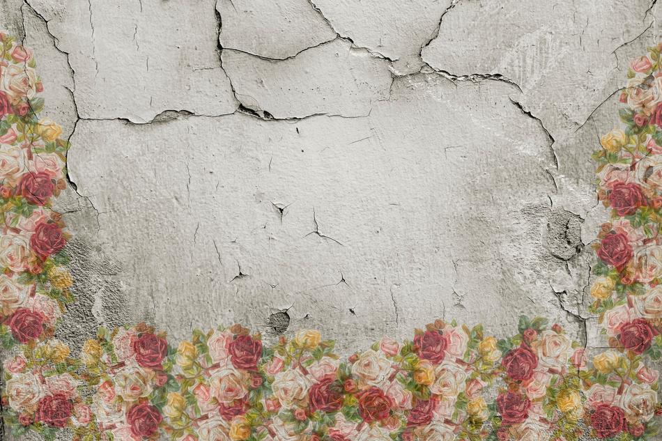 roses around the cracks on the wall as background