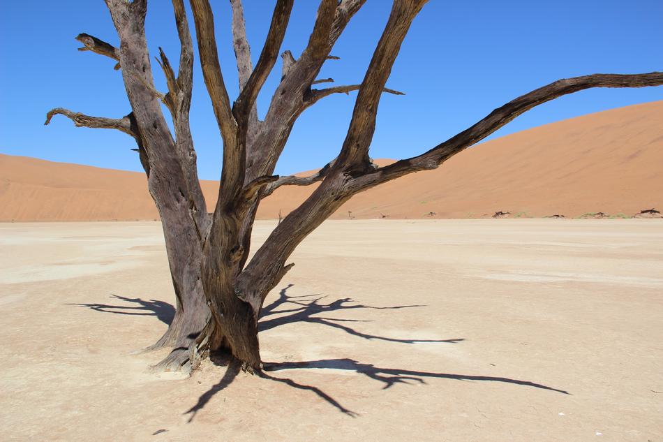 Namibia Desert Sand