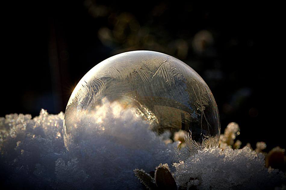 Soap Bubbles Frozen Bubble