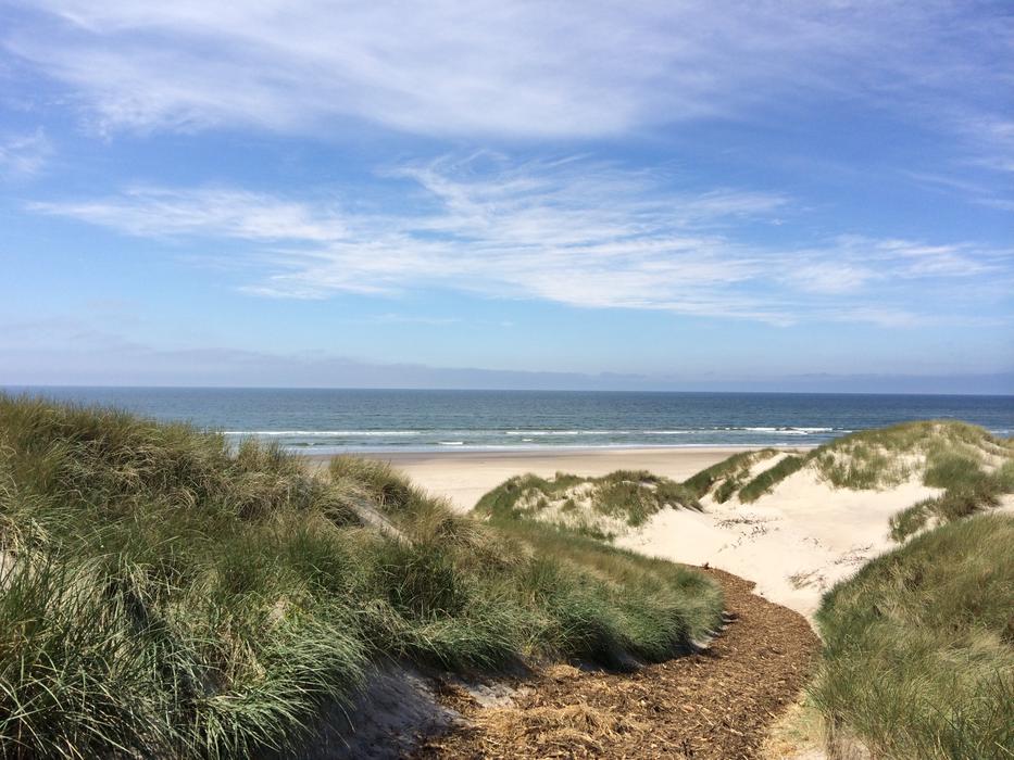 Beach of Ocean