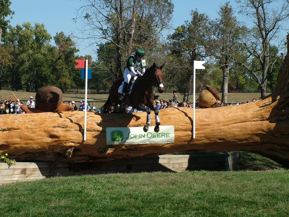 Weg World Equestrian Games Cross