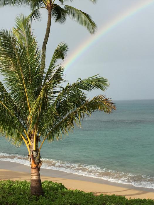 Hawaii Maui